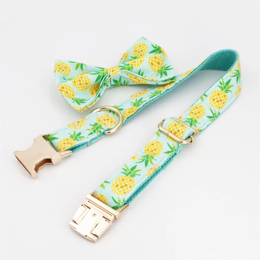 Pineappora - Image 2