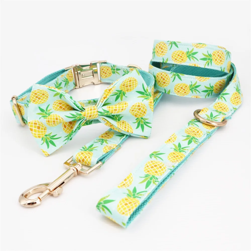 Pineappora - Image 7