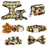Sunflower Full Set