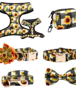 Sunflower Full Set