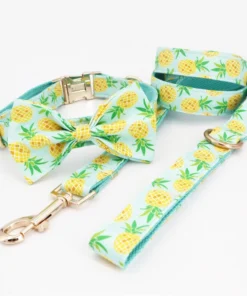 Pineappora