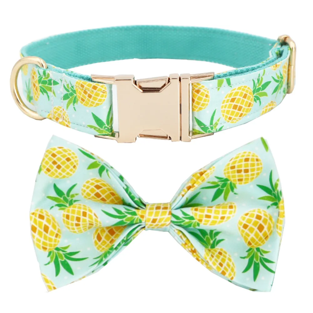 Pineappora - Image 4