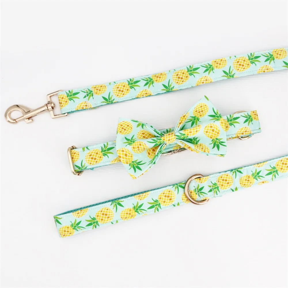 Pineappora - Image 3